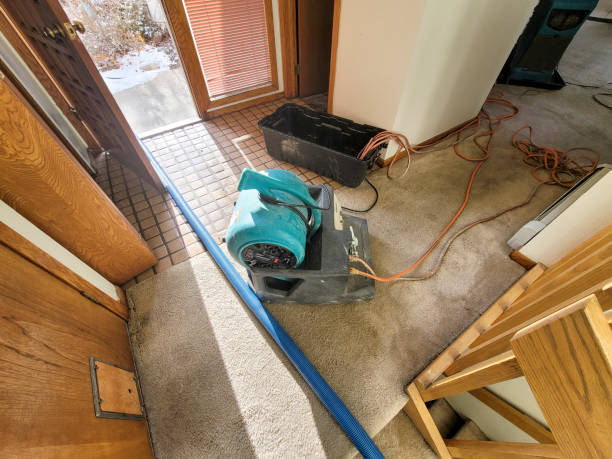 Professional Water damage restoration in Providence, UT